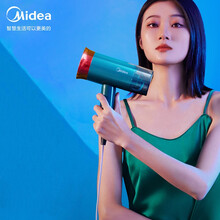 美的（Midea）挂烫机家用手持挂烫机可折叠大功率蒸汽挂烫机家用电熨斗 墨绿色熨斗 墨绿色