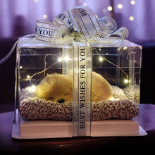 生日礼物送女生闺蜜少女心520情人节送女友朋友姐妹实用ins浪漫创意 小拉布拉多礼盒 17*17*12cm