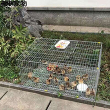 【精选好货】育雏笼子小鸡笼子育雏笼加密加粗雏鸡笼大型养殖家用鸡窝养小鸡笼养兔子用的铁丝笼 90x60x40加脚垫