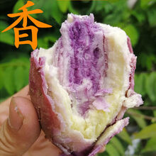 新鲜番薯农家沙地冰淇淋番薯一点红紫心红薯皮薄肉厚香甜粉糯 5斤大果