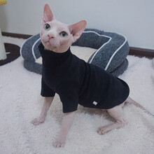 斯芬克斯猫衣服多色薄棉线无毛猫衣服斯芬克斯德文柯尼斯卷毛冬季打底高领长袖 黑色 3XL超大12-14斤需测量腰腹