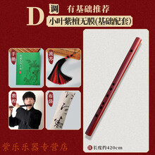 小叶紫檀实木短笛子随身小乐器定制收藏镇宅专业演奏无膜古风迷你 小叶紫檀无膜短笛D调+配件