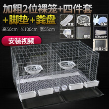 喵仙儿 加粗鸽子笼家用配对繁殖养殖笼子白鸽信鸽大号鸟笼子鸽舍鸽棚组合 2位+4件套+脚垫+粪盘