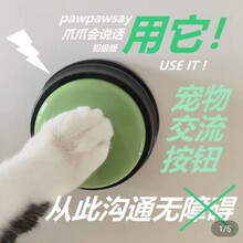 HKNA 宠物交流按键狗狗发声按钮说话训练录音款网红玩具 两个随机可备注颜色