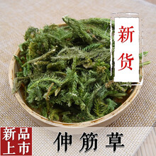 大别山区伸筋草伸筋草生筋草大伸筋草牛尾菜 新货500克 【伸筋草500g】