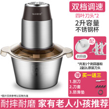 绞肉机家用电动不锈钢多功能搅拌料理机辣椒打馅碎菜搅蒜泥器小型GMDQ 【店长！】2升不锈钢杯 2套刀款+送剥蒜磨泥盘