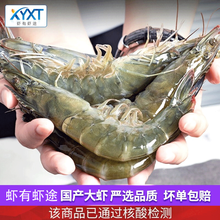 虾有虾途 国产青岛大虾4斤装 青虾鲜虾海虾基围虾鲜冷冻生鲜 虾类已核酸检测  健康轻食 4斤装（净虾3斤） 11-13厘米