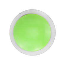 狗狗玩具发声器交流按钮说话吃饭出去玩录音按键狗子宠物用品 【录音款】-绿色     可录20秒