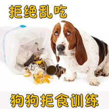 巨小萌宠物训练视频课程训犬训狗狗狗定点上厕所吠叫爆冲护食咬人扑人洗澡吹毛进笼乱吃垃圾乘车擦手脚 课程4避免误食中毒拒食训练