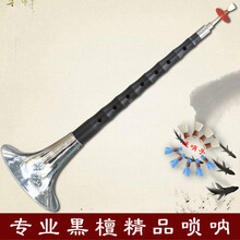 唢呐乐器初学者全套入门学生练习服务CD调配哨子曲谱纯铜喇叭 降E+2包哨子+资料