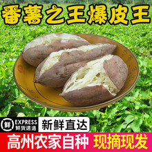 高州爆皮王白心面包王番薯新鲜粉糯板栗红薯农家自产干面地瓜 2斤 大果