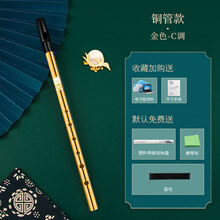 DBAO爱尔兰哨笛 初学者成人金属哨笛自学入门6孔C调D调高音直笛竖笛 电镀金C调