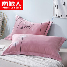 南极人家纺 全棉枕套一对装纯棉高支高密斜纹枕头套 绽放巴黎