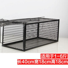 捕猫笼全自动捉猫神器大号诱捕猫笼家用寻猫笼抓野猫流浪猫救助笼绿豆芽 大号：长40宽18高18(1-5斤)