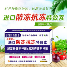 进口防冻抗冻特效药剂 瓜果蔬菜花卉辣椒草莓果树植物通用防冻素 5盒