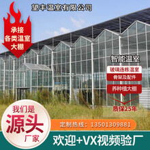 鲸榜智能玻璃电动温室生态餐厅养殖种植农业用花卉蔬菜骨架连体联栋PC阳光板育苗春秋薄膜大棚全套设备配件 蔬菜大棚