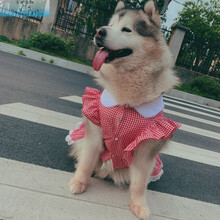 京开【透气舒适 加大款】狗狗金毛衣服夏季薄款宠物狗狗衣服裙子蓬蓬裙公主风棉春夏薄款防掉毛防紫外线金毛 红色格子裙 5XL(胸围85-背长65-重60~80)