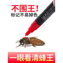 蜂王标记笔 速干中蜂养蜂记号笔不伤蜂王蜜蜂工具育王 红色+红色