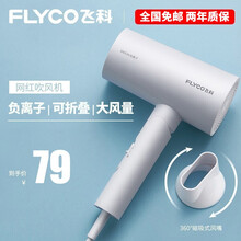 飞科（FLYCO） 电吹风 家用 负离子大功率吹风筒可折叠便携式吹风机FH6276 标配