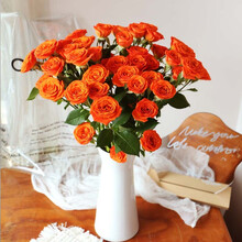 （linkinjoy） 多头玫瑰单色随机5枝鲜花生活家居七夕生日礼物 基地直发 单色随机5枝