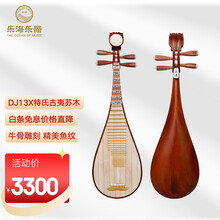 乐海琵琶民族乐器  DJ13X特氏古夷苏木-花开富贵头饰