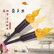 杉贝 SHANBEI 【入门级葫芦丝】初级葫芦丝乐器儿童吹凑乐器教学练习用葫芦丝抖音同款 1个装