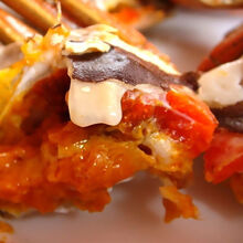 活鲜【冷链运输】鲜活大闸蟹六月黄现货 大闸蟹淡水湖蟹超大蟹尝鲜16只  罗莫利得 全母(1.8-2.2两)16只