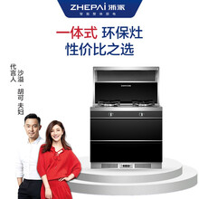 浙派（ZHEPΛi）9ZP9 集成灶一体式环保灶 侧吸式抽油烟燃气灶具家用消毒柜一级能效 液化气
