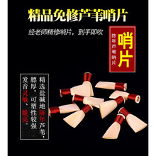 唢呐哨片 芦苇免修唢呐哨片唢呐哨子免修易发音免修哨片唢呐叫子 芦苇免修大G调【2个】带哨片盒