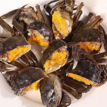 【活蟹】六月黄小螃蟹鲜活大闸蟹河蟹海鲜水产蟹类 安德兰 三元蟹 只只有黄【25只送5只】