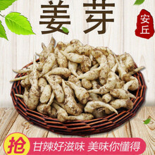 泡姜嫩姜仔姜新鲜子姜鲜姜1/5斤山东腌制糖醋大生姜泡菜姜芽 10斤姜芽(精选装)