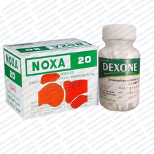 娜莎（NOXA 20）泰国原装进口娜莎20梅花片合比禄泰国痛风胶囊痛风药缓解关节痛肌肉痛风湿痛腰痛腿 泰国娜莎120粒+越南梅花片200粒套装