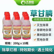 大丰收 除草剂41%草甘膦异丙胺盐30%草甘膦水剂 遍地黄 200克*10瓶