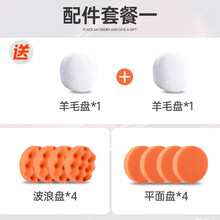【车家两用】汽车抛光机打蜡机220v 车载家用木地板多功能打蜡工具美容打磨刮痕修复封釉机 配件套餐 YGY001