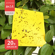 加品惠 20张双面粘虫板20*25cm诱捕昆虫诱虫板小飞虫果蝇粘板果园茶园大棚黏虫纸粘针蜂苍蝇贴QC-2065