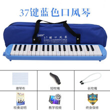 DHS口风琴37键32键小学生用口风琴儿童专业演奏级初学者吹管乐器 32键黑色+全套赠品 37键蓝色+全套赠品