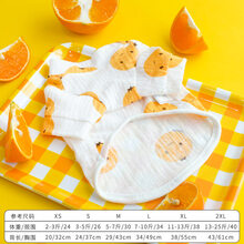 网红狗狗衣服夏季薄款透气泰迪夏天宠物比熊博美小中型犬猫咪夏装 满版橙子夏款 XL(建议10-14斤，背长41，胸围53)
