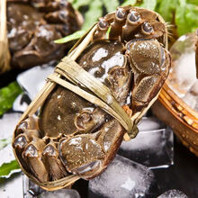 【活蟹】全母大闸蟹鲜活螃蟹活物特大现捕六月黄海鲜水产蟹类 安德兰 尝鲜六月黄30只