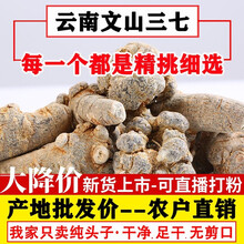 三七云南文山20头30头野生花田七粉500g可磨37粉三七片 28头28个纯头子(500G)