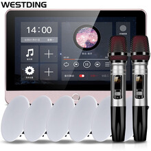 威斯汀（WESTDING）XT12智能家居家庭背景音乐主机系统套装 家庭影院吸顶音响组合 嵌入式喇叭 XT12+809*6