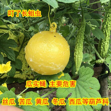 大实蝇诱蝇球粘虫球黄板果树花园灭苍蝇食蝇贴针蜂果蝇诱捕器 配诱芯蔬菜瓜类10个8.3cm一体球黄