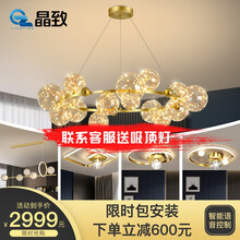 晶致黑金美学灯【套餐包安装】客厅灯吊灯轻奢灯具后现代简约现代新款满天星北欧网红三室两厅灯饰照明 套餐8：小三室两厅无极遥控【包安装到手...