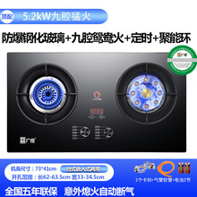 广樱煤气灶双灶家用猛火燃气灶嵌入式台式天然气液化气炉具天燃气ZI 顶配防爆钢化玻璃+九腔鸳鸯火+定时+聚能环 天然气