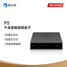 蒲公英P5千兆旁路组网盒子硬盘变云盘nas伴侣智能云远程打印企业VPN异地组建局域网