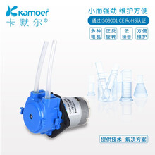 kamoer蠕动泵12v微型泵家用全自动低噪音自吸泵直流电动小抽水泵 迷你水泵 假山抽水鱼缸循环泵 CKP；蠕动泵工业套装