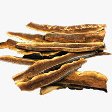 无柄灵芝长白山天然深山纯赤灵芝活体灵芝干可切片 野生无柄灵芝250克(半斤切片)