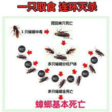 蟑螂药强效家用一窝端厨房卧室蟑螂克星灭虫神器一扫光方便贴 2盒装16枚（用80平米）+2杀虫剂
