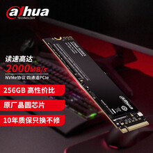 大华（dahua）256G SSD固态硬盘 M.2接口(NVMe协议) C900系列 笔记本台式机固态硬盘 10年质保