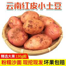 大地果缘 云南高原特产红皮小土豆黄心新鲜现挖蔬菜农家自种马铃薯产地直发 2500g