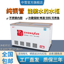 中雪水柜商用卧式玻璃门冰柜超市冷柜保鲜柜冰箱啤酒双门饮料冷藏展示柜不锈钢内胆可装水推拉门纯铜管小卖铺 188升（铜管）